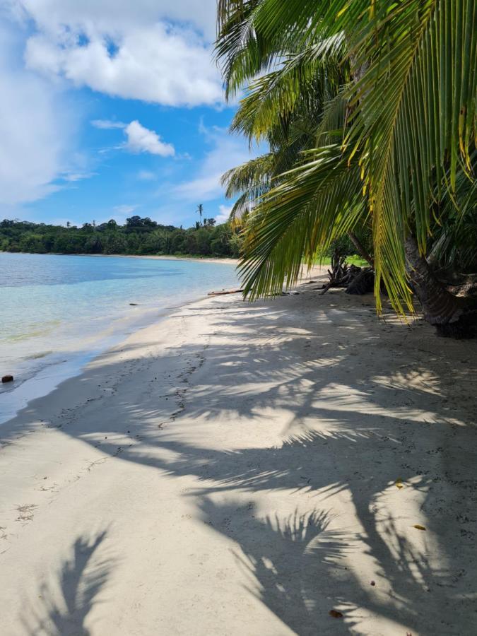 Drago Beach House - Private Beach Boca del Drago Eksteriør billede