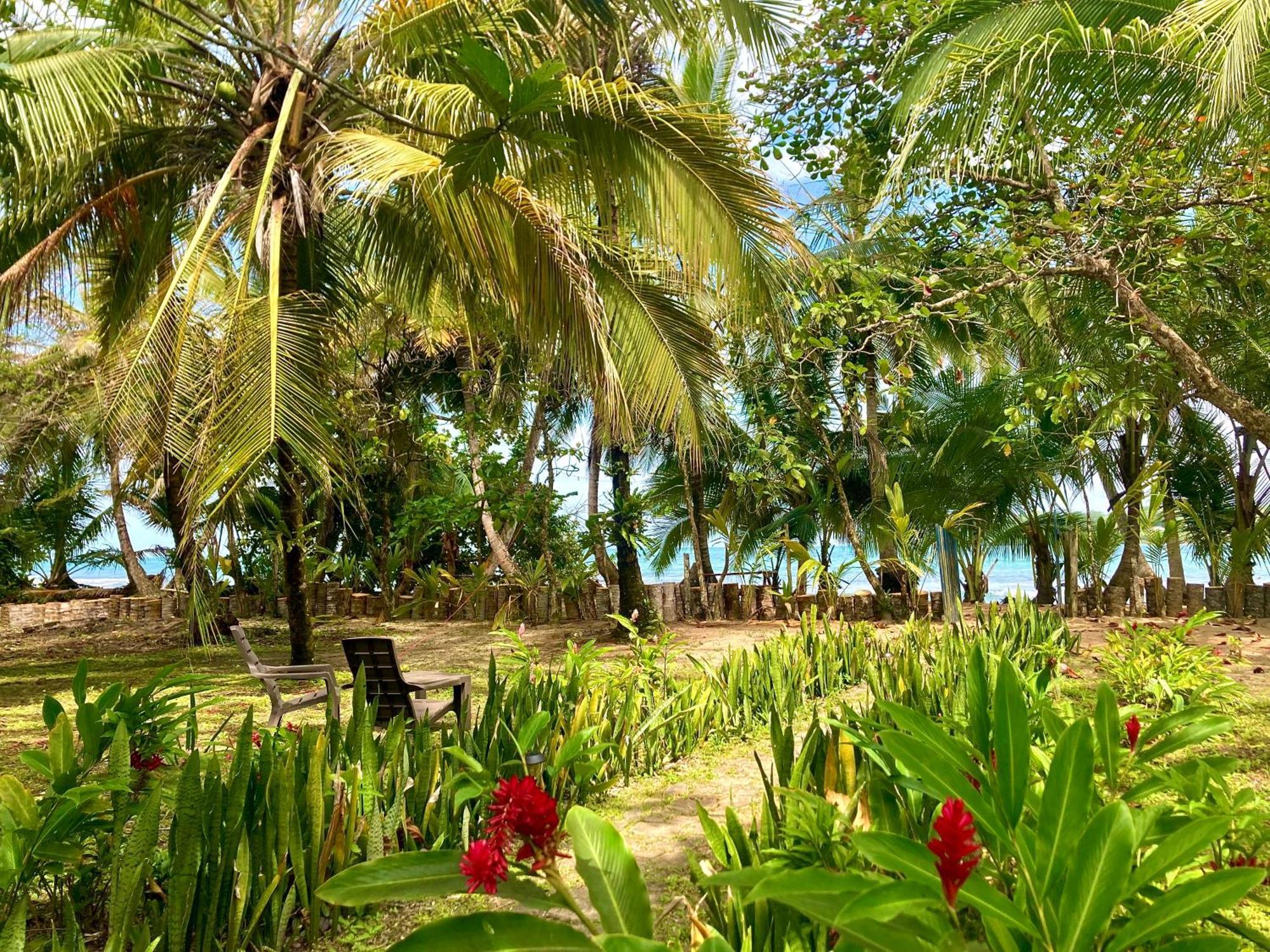 Drago Beach House - Private Beach Boca del Drago Eksteriør billede