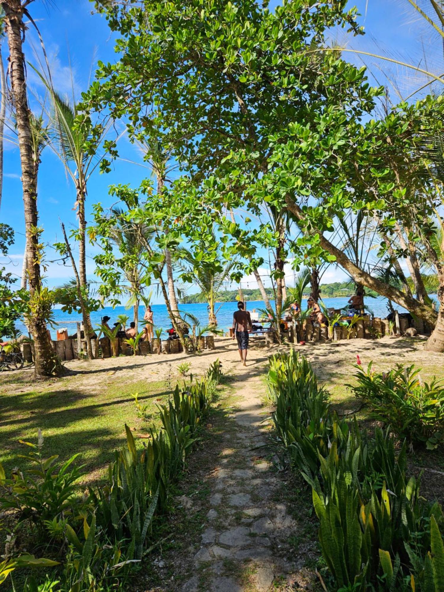 Drago Beach House - Private Beach Boca del Drago Eksteriør billede